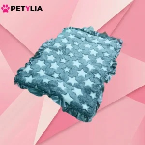 The "Stellar Drift" Royal Day Bed