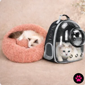 Boss’s Comfort Bundle (Premium Bag + Bed)
